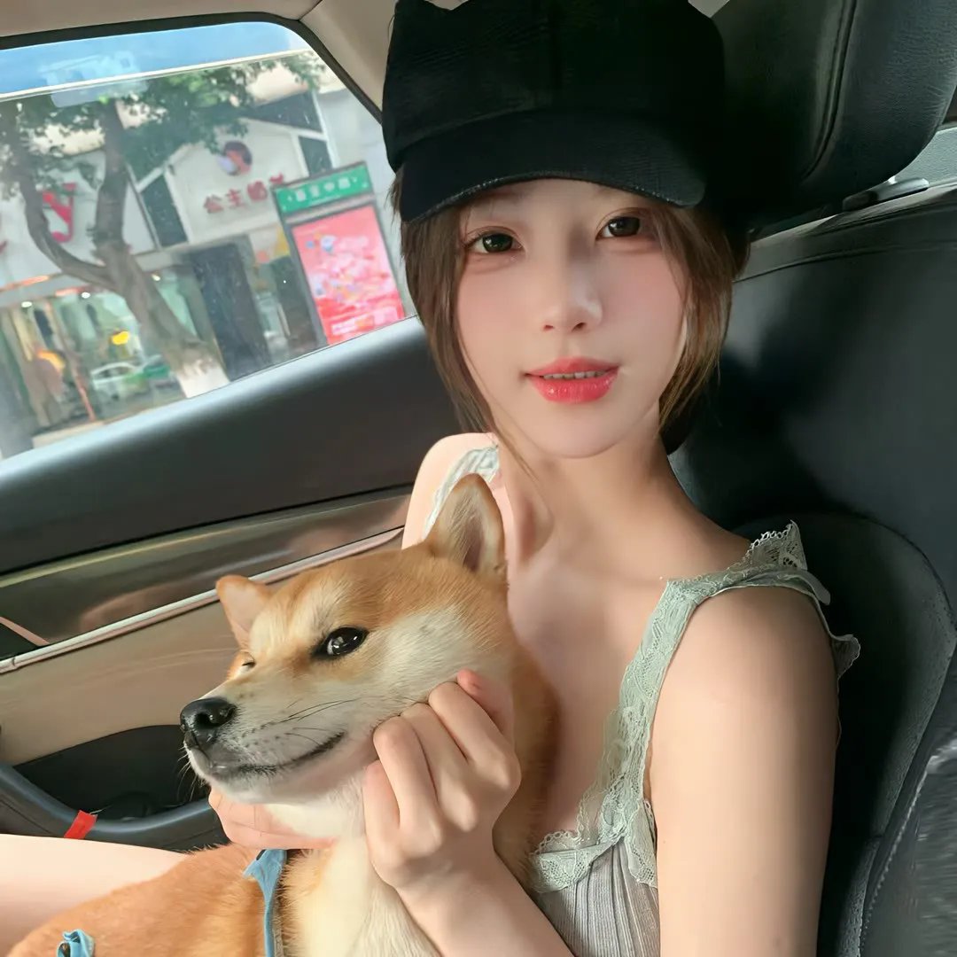 偷狗的完美方法